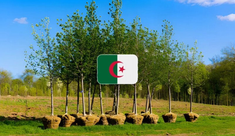 Sadaqah arbres Algérie