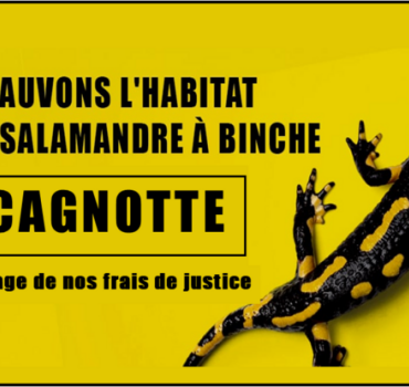 Sauvons l'habitat de la salamandre