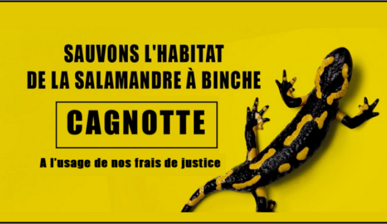 Sauvons l'habitat de la salamandre