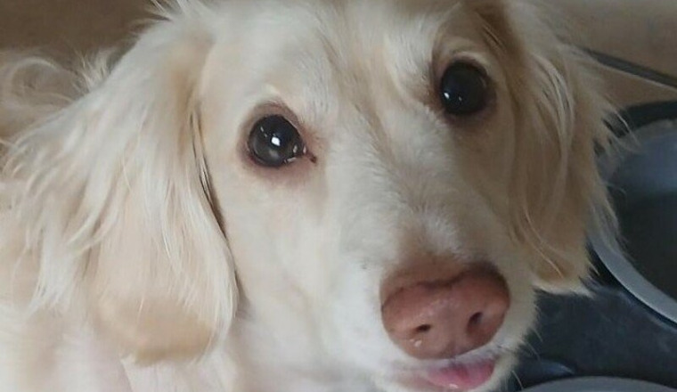 Aider Falkor à continuer son chemin