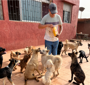 Cagnotte frais du refuge de Marwan AOUT 2025
