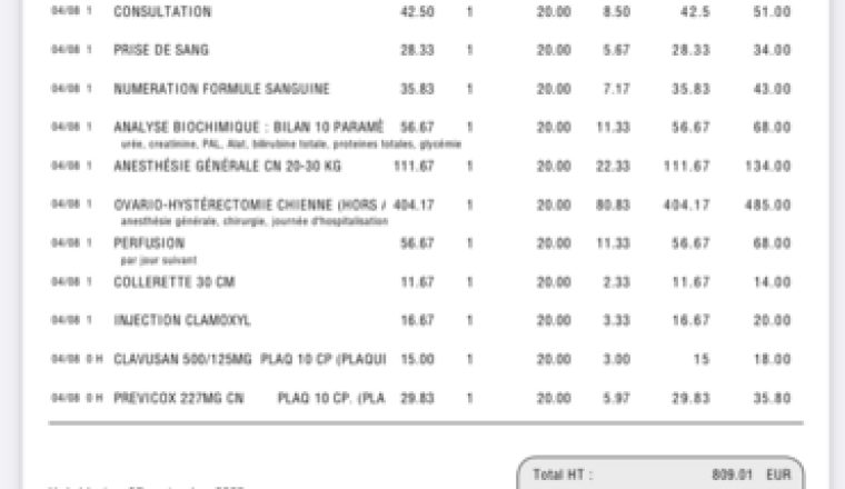 Pour pouvoir opéré la chienne de mon frere
