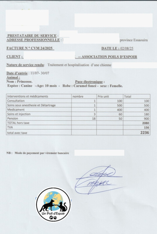 Image justificative de la cagnotte