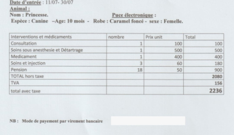 Image justificative de la cagnotte