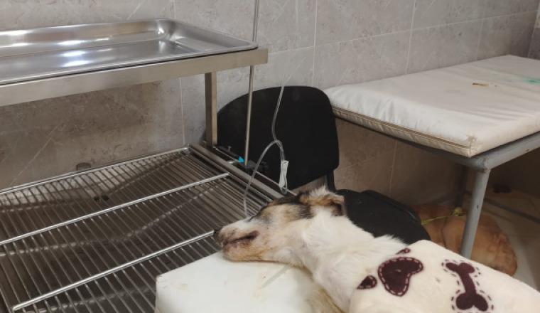 Image justificative de la cagnotte