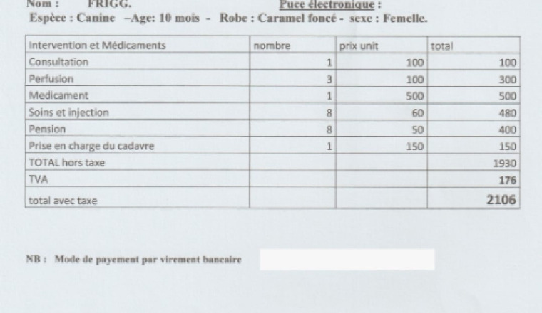 Image justificative de la cagnotte
