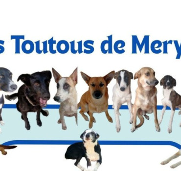 Aider Les Toutous de Meryem
