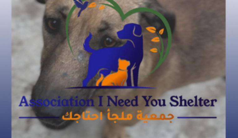 Dernier espoir pour les animaux du refuge