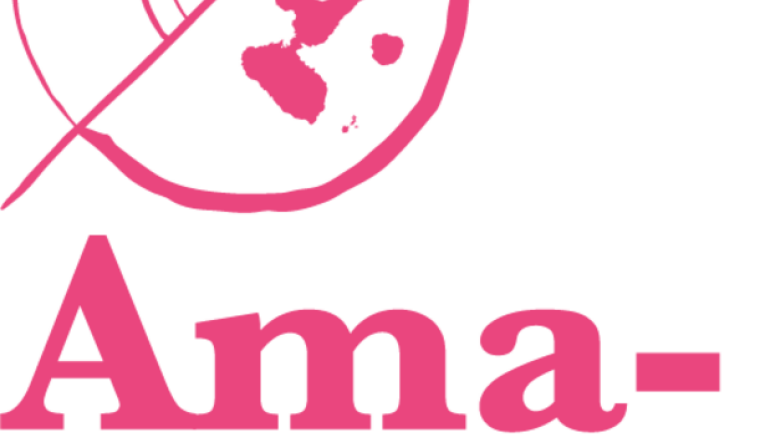 Don Rotaract. Octobre rose, soutien au Amazones