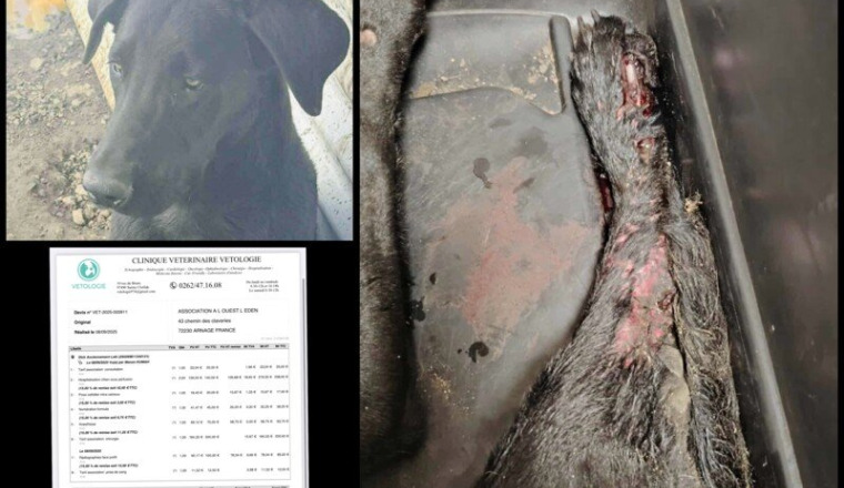 DICK FRACTURE OUVERTE et AMPUTATION