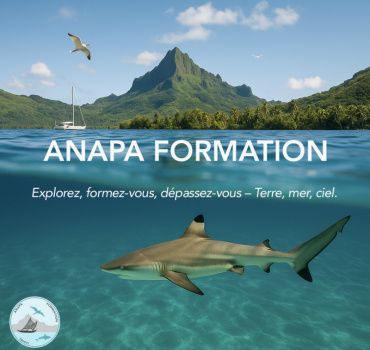 Soutenez ANAPA : centre de formation mer & plongée