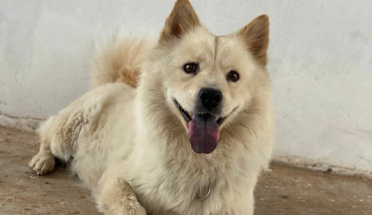 Soutien ranch Beldi automne 2025