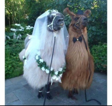 Christophe et Karine