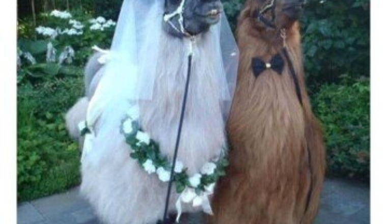 Christophe et Karine