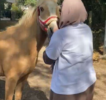 Soutenez le Ranch face à l'injustice