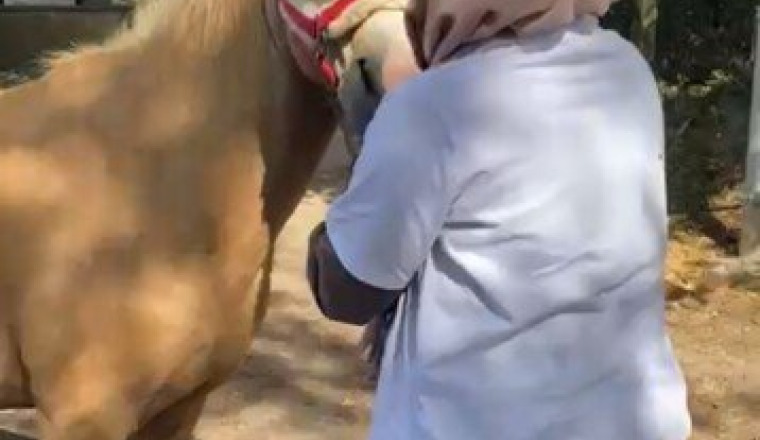 Soutenez le Ranch face à l'injustice