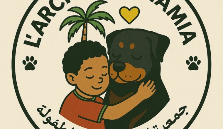 Sauvetage immédiat : chiens menacés et blessés.