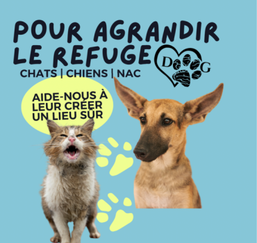 Aide nous à agrandir le refuge🏠
