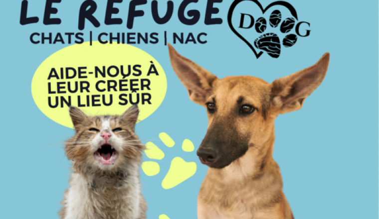 Aide nous à agrandir le refuge🏠