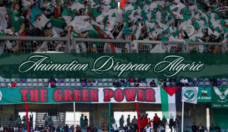Supporter Algérien et du monde