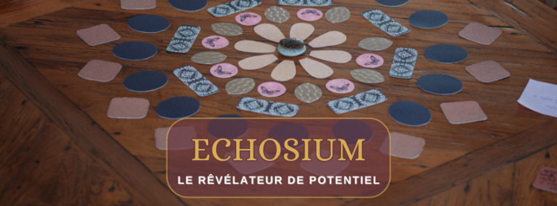 Echosium, un jeu du rêve à la réalité