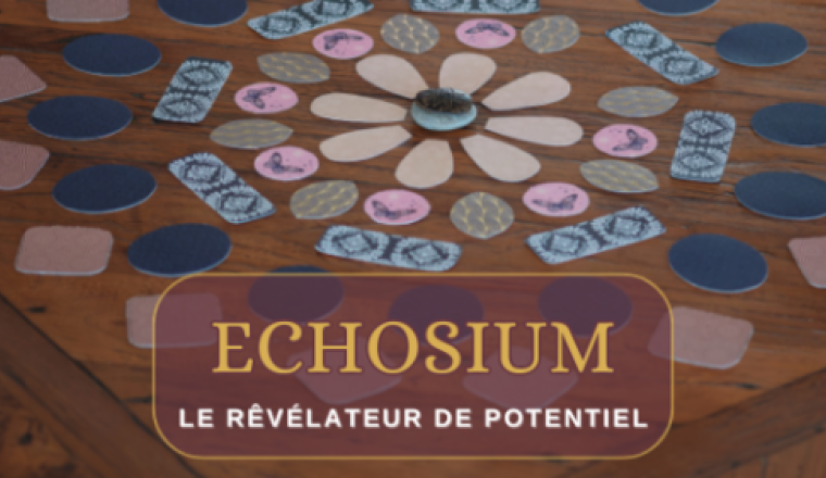 Echosium, un jeu du rêve à la réalité