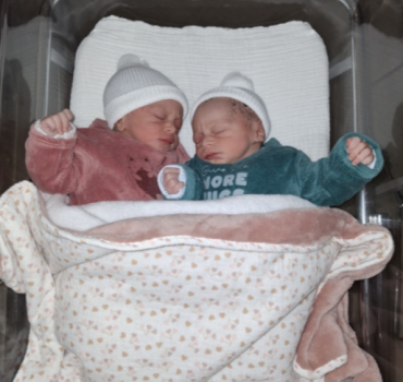 Nico & co, la famille s'agrandit
