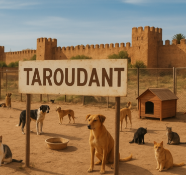 Déplacement refuge Taroudant