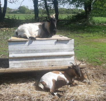 SAUVER LE SANCTUAIRE