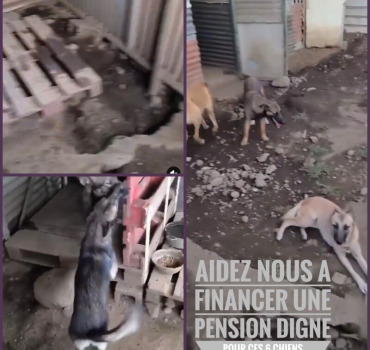UNE PENSION DIGNE EN URGENCE