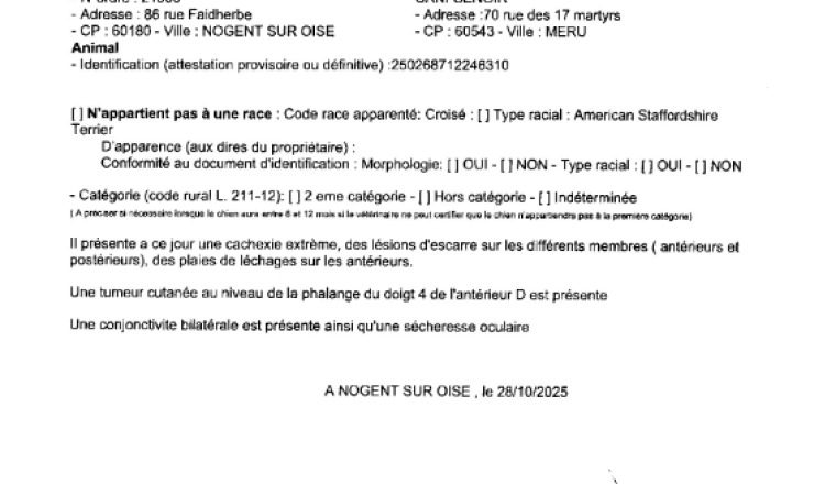 Image justificative de la cagnotte