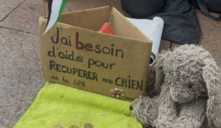 Libérer 2Pac 🐶
