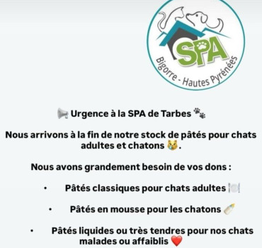 SPA tarbes chats