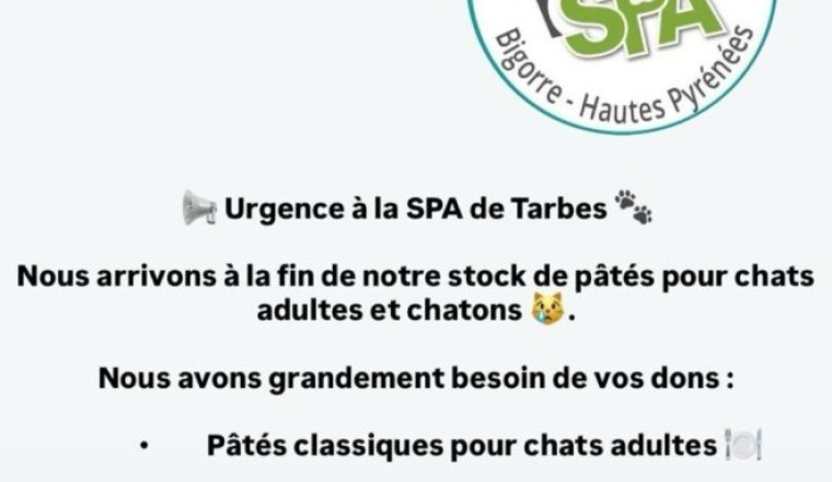 SPA tarbes chats