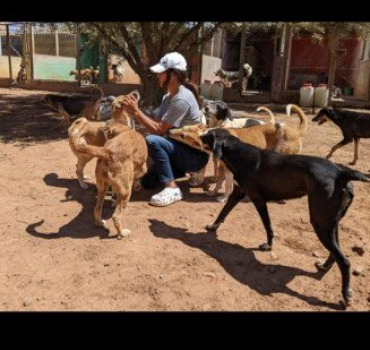 Urgence vitale demande de fonds refuge 🇲🇦🐕🐈‍⬛