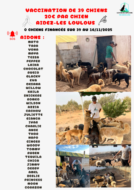 Image justificative de la cagnotte