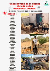 Image justificative de la cagnotte