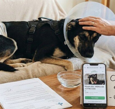 Urgence chirurgicale pour Léa