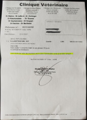 Image justificative de la cagnotte