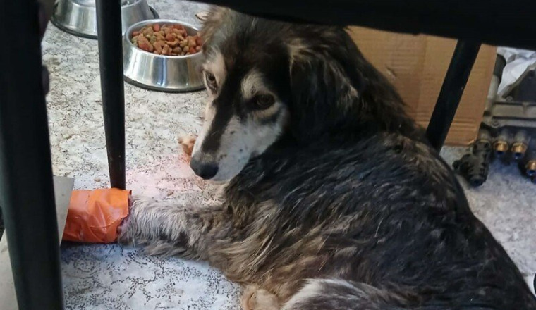 HILMIR doit être opéré pour vivre