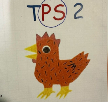 TPS2 cagnotte de Noël