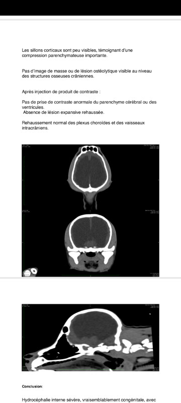 Image justificative de la cagnotte