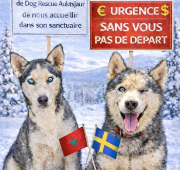 LA VIE EN CADEAU