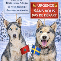 LA VIE EN CADEAU