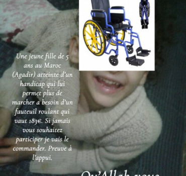 Fauteuil roulant