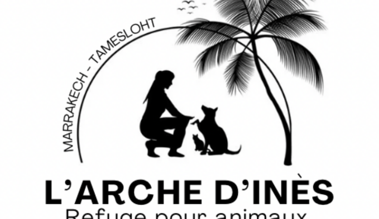 L'arche d'Inès
