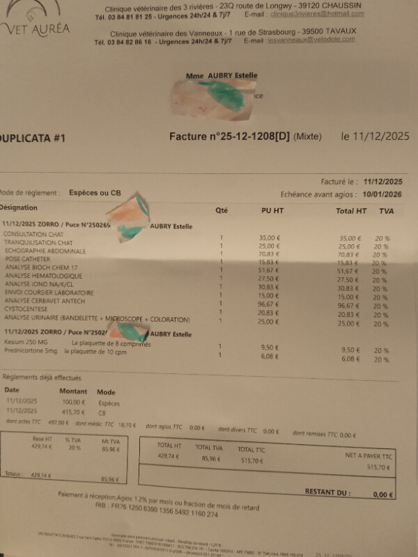 Image justificative de la cagnotte