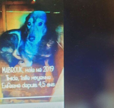 CagnottePourLarrivéeDeMabrouk