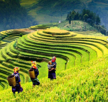 Voyage de noces au Vietnam
