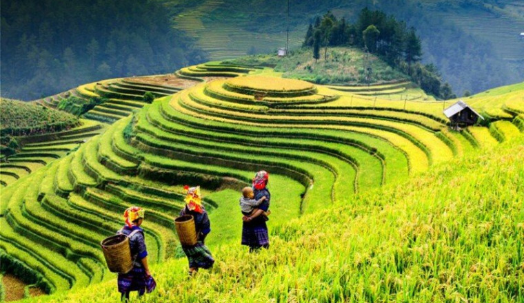 Voyage de noces au Vietnam